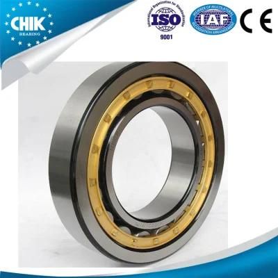 Hot Sale 105*60*26 mm Cylindrical Roller Bearing Nu 1021