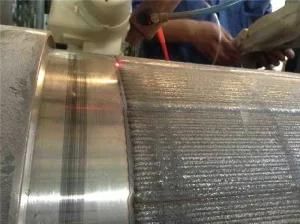 Fiber Laser Cutting Machine/Laser Engraving Machine of Machine