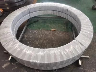 High-End Quality Swing Circle Slewing Bearing Slewing Ring Clg220