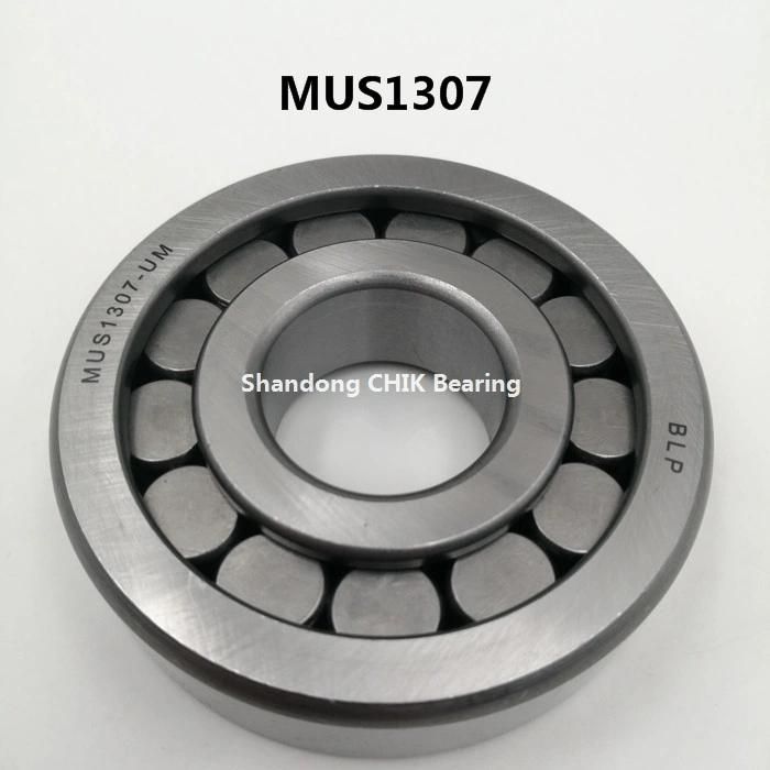 NUPK308 NUPK310 NUPK2205S6 High Speed and Low Noise Cylindrical Roller Bearing
