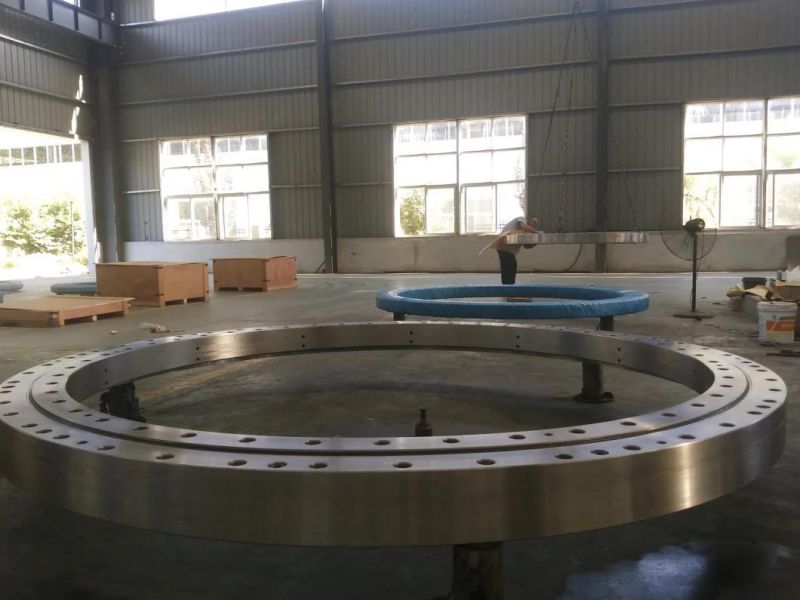 Ball Bearing Slewing Ring Bearing Without Gear Teeth Bearing Turntable Bearing Rotary Bearing (RKS. 25.1204)