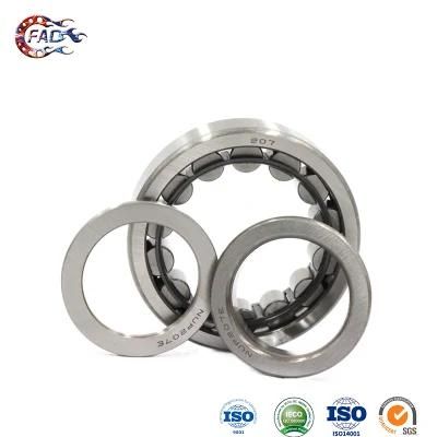 Xinhuo Bearing China Rexnord Bearings ODM 6022 2RS Nu232e Full Complement Cylindrical Roller Bearings