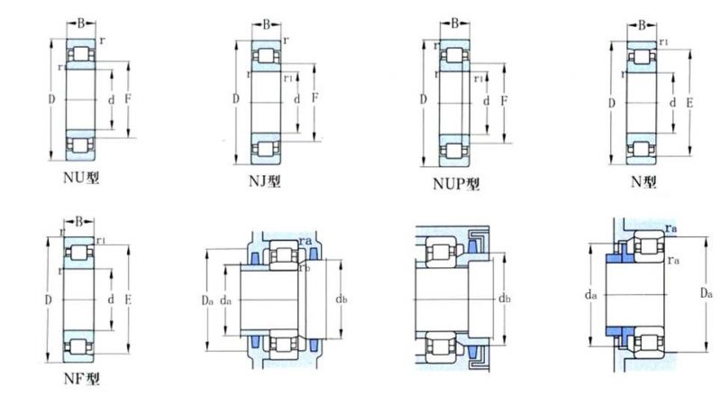 Hot Sale Roller Bearing Cylindrical Roller Bearing Nu206