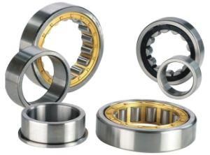 Cylindrical Roller Bearing