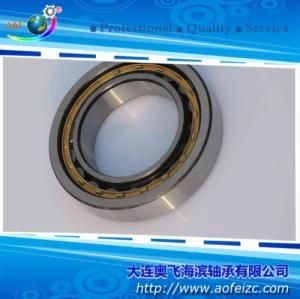 Competitive Quality Cylindrical Roller Ge Bearing NU1064M Polymer Bearing