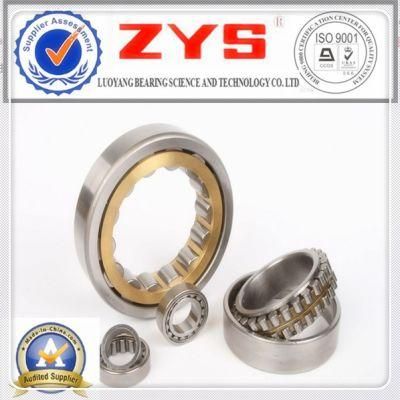 Cylindrical Roller Bearings N1006k