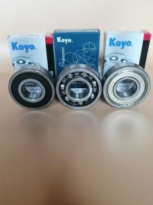 Deep Groove Ball Bearing 6204 2RS 6204zz Motorcycle Bearing, Gearbox Bearing for Automotive, Elctrial Motor, Fan NSK, SKF, NTN, Koyo