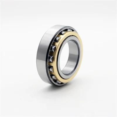 China Manufacturer Supply Cylindrical Roller Bearing N311 N311m N311e N313 N311m N313e for Auto Parts