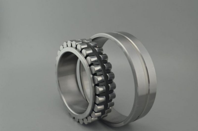 Cylindrical Roller Bearings N1912k