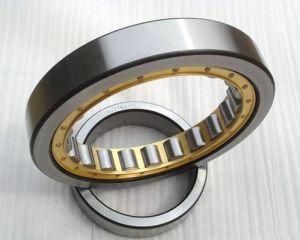 (SL181864-E) Single Row Cylindrical Roller Bearing with Precision Grade