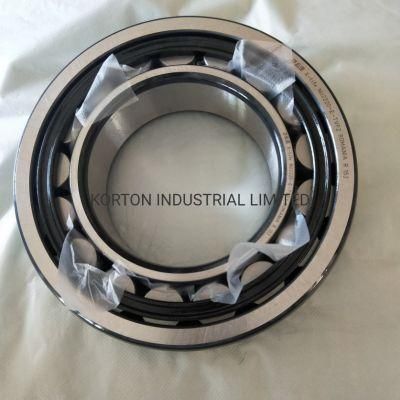 Single Roller Bearings Nu2220 Cylindrical Roller Bearing