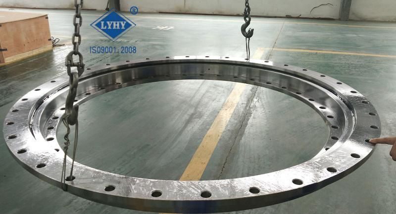 Slewing Ring Bearing Ring Bearing 230.20.1000.013