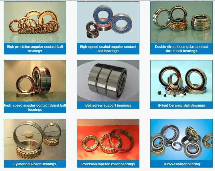 China Manufacturer Zys Special Angular Contact Ball Bearing Unit