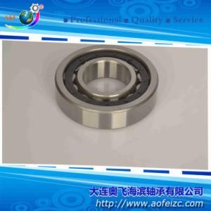 Cylindrical Roller Bearing (NJ348M)