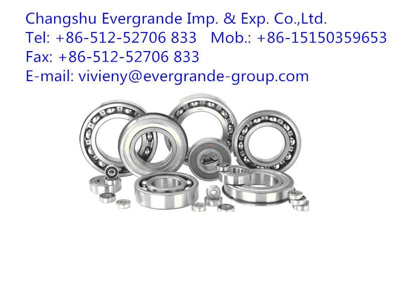 6201 6202 6203 6303 RS Zz Deep Groove Ball Bearings High Quality Made in China