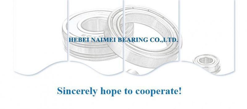 High Level Skate Bearing 608 608zz 608 2RS Deep Groove Ball Bearing for Roller Skates