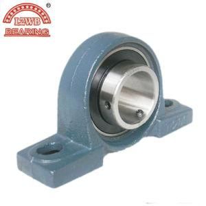 Competitive Price Pillow Block Bearing with Professional Equipments (UCPA202)