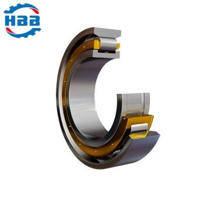1000mm NF28/1000 Single Row Cylindrical Roller Bearing Manufacturer