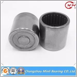 Factory Drawn Cup Needle Roller Bearing with Retainer