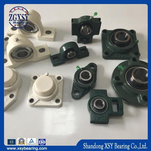 Koyo NTN Pillow Block Bearings Ucfb208 F208