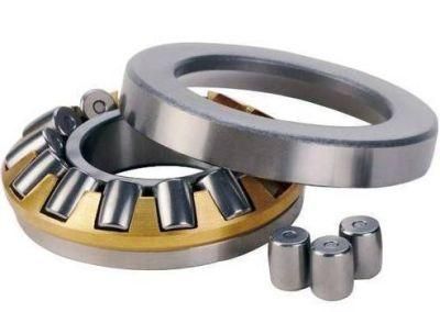 Thrust Cylindrical Roller Bearing 89311zw/P5