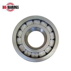 German High Quality Cylindrical Roller Bearing Nu 222 Ecp Nu222 Bearing