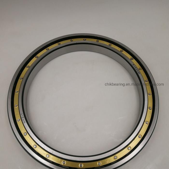 16024 16026 16028 16030 16034 16038 16040 Zz 2RS Open Radial Deep Groove Ball Bearing
