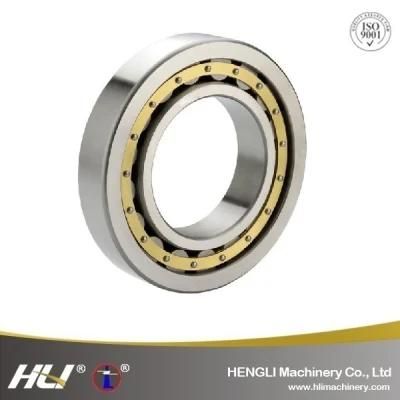45*120*29 N409EM High Radial Loads Sealed Cylindrical Roller Bearing For Conveyors