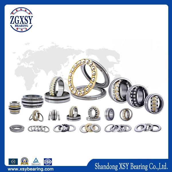 Famous Brand Customized Cylindrical Roller Bearing