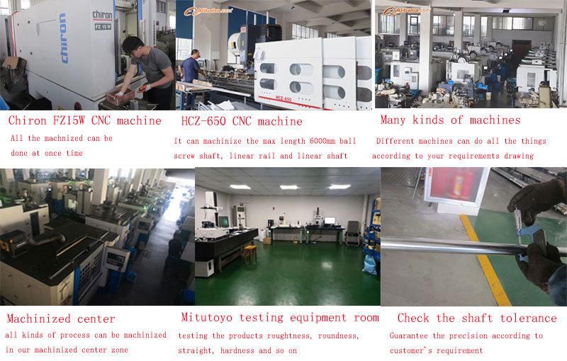 Linear Bearing with Lmh Series