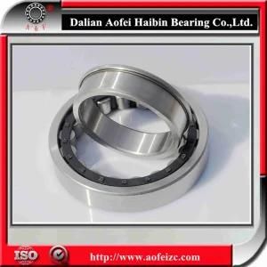 ISO 9001, Cylindrical Roller Bearing (NU204, NJ, NF, NUP) NJ228E