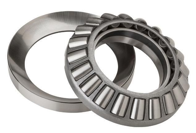 Thrust Cylindrical Roller Bearing 81124/P5