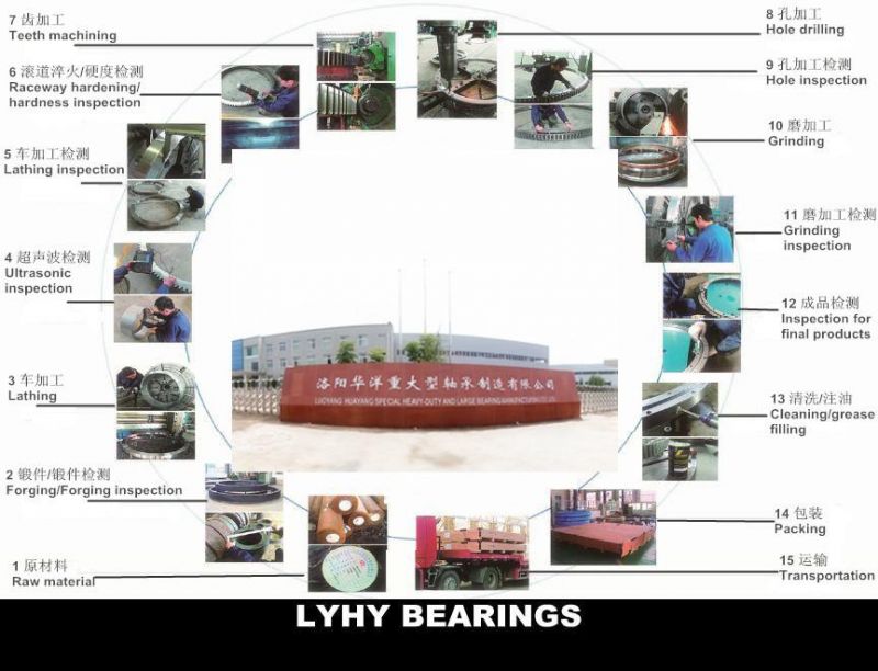 Cat365bl Slewing Ring Bearing with Internal Gear