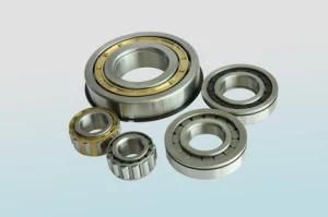 Cylindrical Roller Bearing (N/NU/NF/NJ/NUP/NCL/RN/RNU)