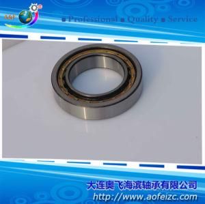 A&F Cylindrical Roller Bearing NU1038M for Excavator