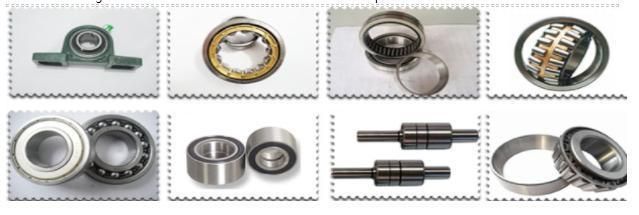 High Quality Needle Roller Bearing (SCE2012)