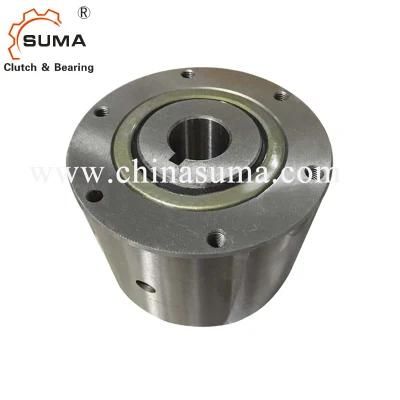 Hpi900 One Way Freewheel Bearing for Inclinced Conveyor