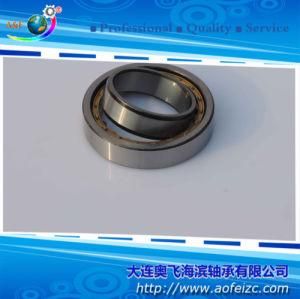 China Cylindrical Roller Bearing NU1044M Bearings