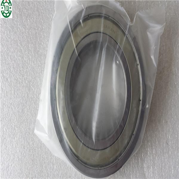 Inch Size Ball Bearing NTN Bearing RMS20 for Automotive