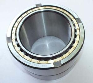 Germany Four Row Cylindrical Roller Bearing Z508955zl
