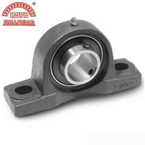 Chinese Manufactured Pillow Block Bearing with Enough Experience (UCPA210)
