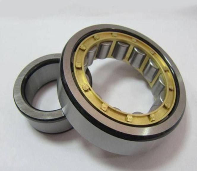 Cylindrical Roller Bearing Nup309 Cement Mixer 90m100