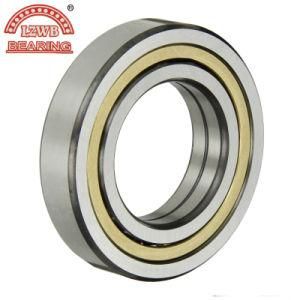 High Performance Angular Contact Ball Bearing/High Quality Ball Bearing 7204AC