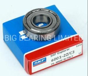 Cheap Ball Bearing Low Price 608 6004 6005 6006 6206 6205 2RS Deep Groove Ball Bearing