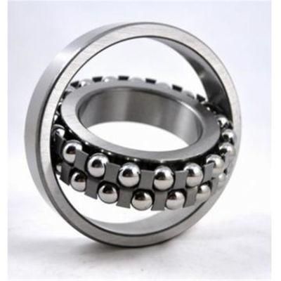 Original Distributor SKF 2205e-2RS1-Tn9 Self-Aligning Ball Bearing 2206etn9, 2207etn9, 2208etn9, 2210etn9 2RS1 C3