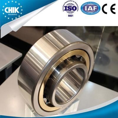 China Export Bearing Nu1010 Cylinder Roller Bearing with High Quality Competitive Price