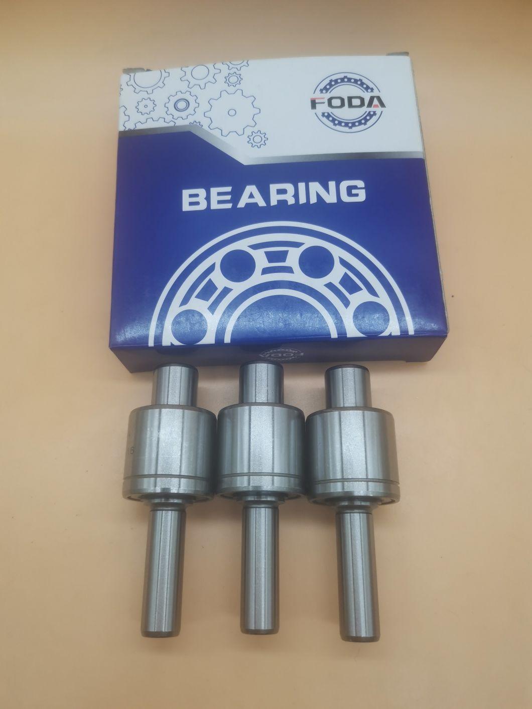 Toyota/Automobile Pump Bearings/ Rolling Bearing /Ball Bearing of Wr1630087c/Wb1630087