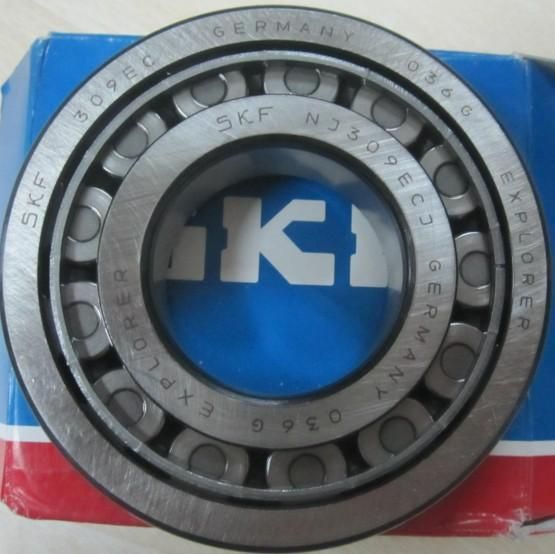 Chinese Brand Bearings Motorcycle/Auto Parts Wheel Parts Cylindrical Roller Bearing