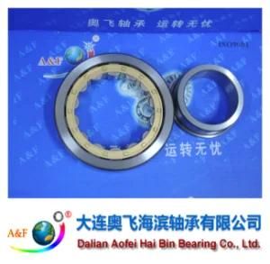 A&F Bearing/ Cylindrical Roller Bearing NJ313M