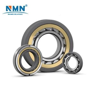 6013 Zz 2rz 2RS 65*100*18mm Deep Groove Ball Bearing